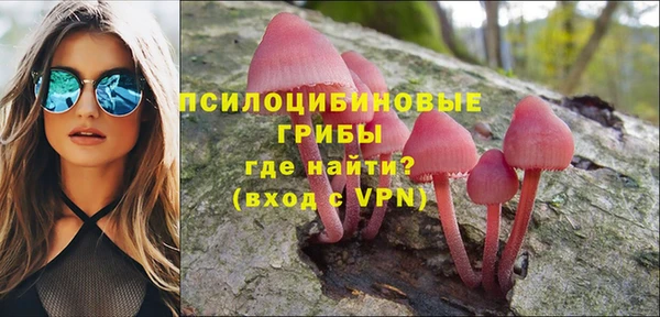 ПСИЛОЦИБИНОВЫЕ ГРИБЫ Абинск