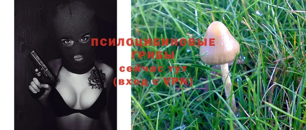 ПСИЛОЦИБИНОВЫЕ ГРИБЫ Абинск