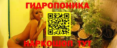 гашик Новодвинск