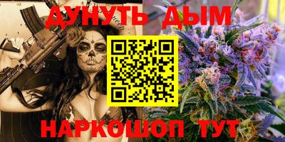 мдпв Новозыбков
