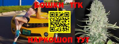 гашик Новодвинск