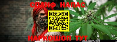 гашик Новодвинск