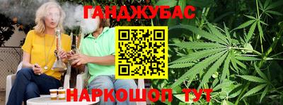 мдпв Новозыбков
