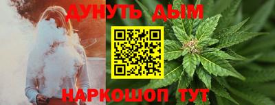 мдпв Новозыбков