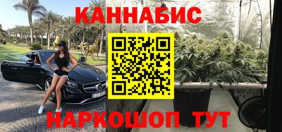 мдпв Новозыбков