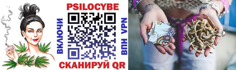 Псилоцибиновые грибы Magic Shrooms  нарко площадка как зайти  Новоалександровск  цены наркотик 
