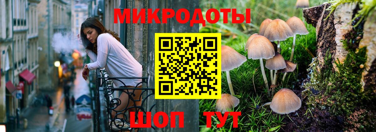 Галлюциногенные грибы прущие грибы Новоалександровск