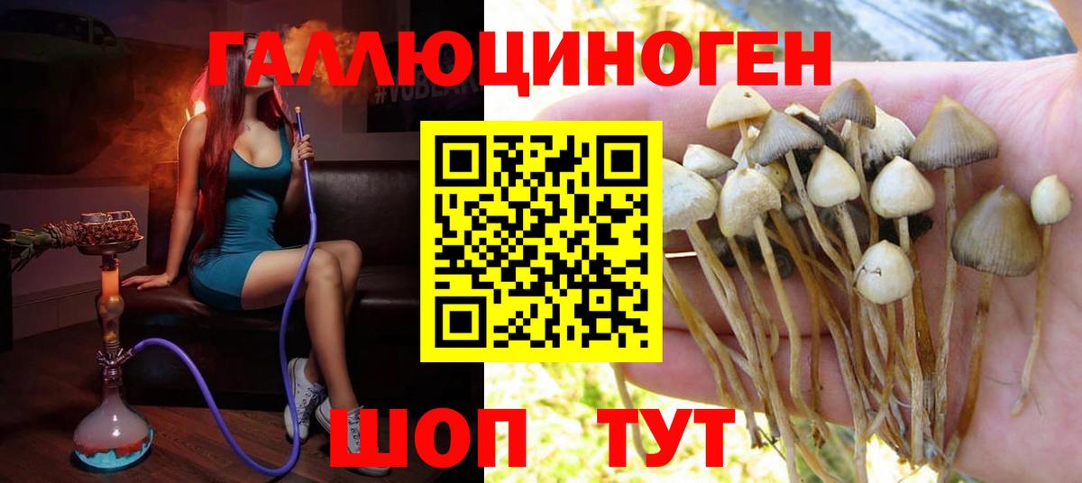 Галлюциногенные грибы MAGIC MUSHROOMS  Вход с VPN  Новоалександровск 