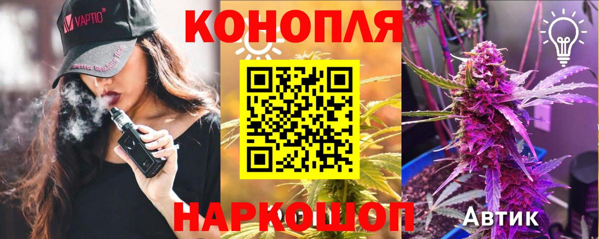 Каннабис планчик  Конопля конопля  Вход с VPN  МАРИХУАНА White Widow  Новоалександровск  Марихуана сатива 
